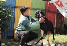 Salah seorang Mitra Pengemudi Grab aktif di Surabaya mendapat apresiasi berupa hewan kurban kambing dalam semarak Iduladha 1446 H